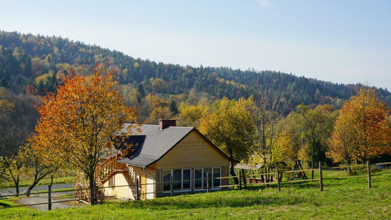 Bieszczadzki Dom Appartement Ropienka Buitenkant foto