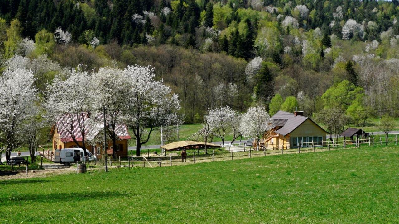 Bieszczadzki Dom Appartement Ropienka Buitenkant foto